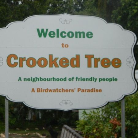 Becks Bed & Breakfast Crooked Tree Екстер'єр фото