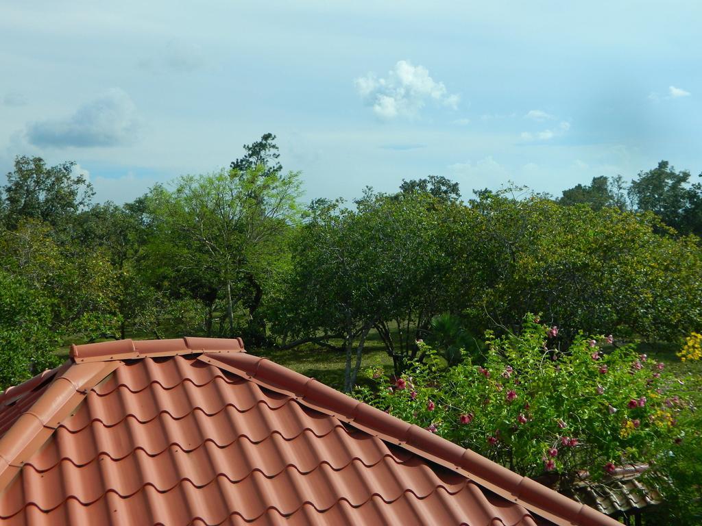 Becks Bed & Breakfast Crooked Tree Екстер'єр фото